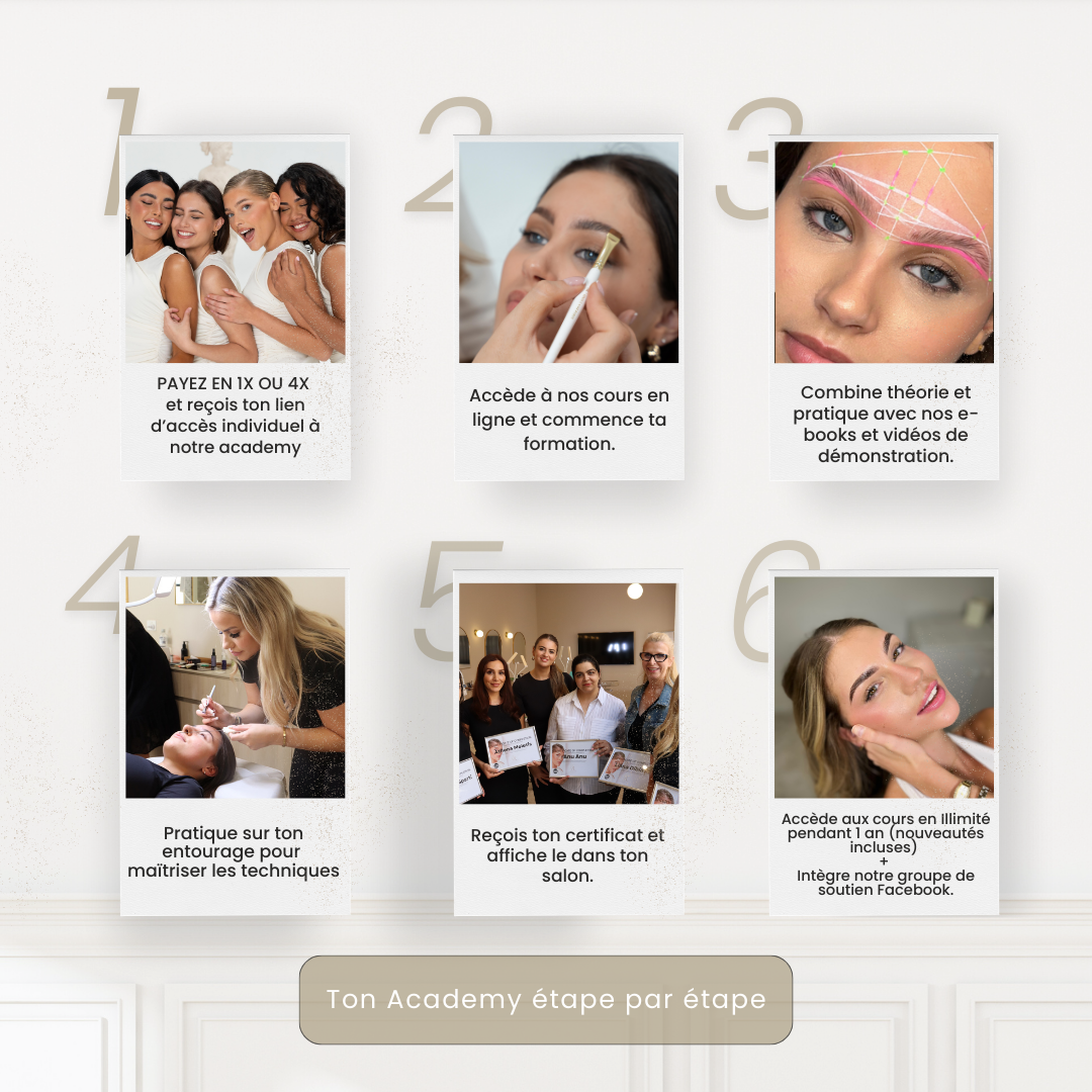 Brow Renaissance Academy - Brow Lamination & Hybrid Dye Online Course (French)