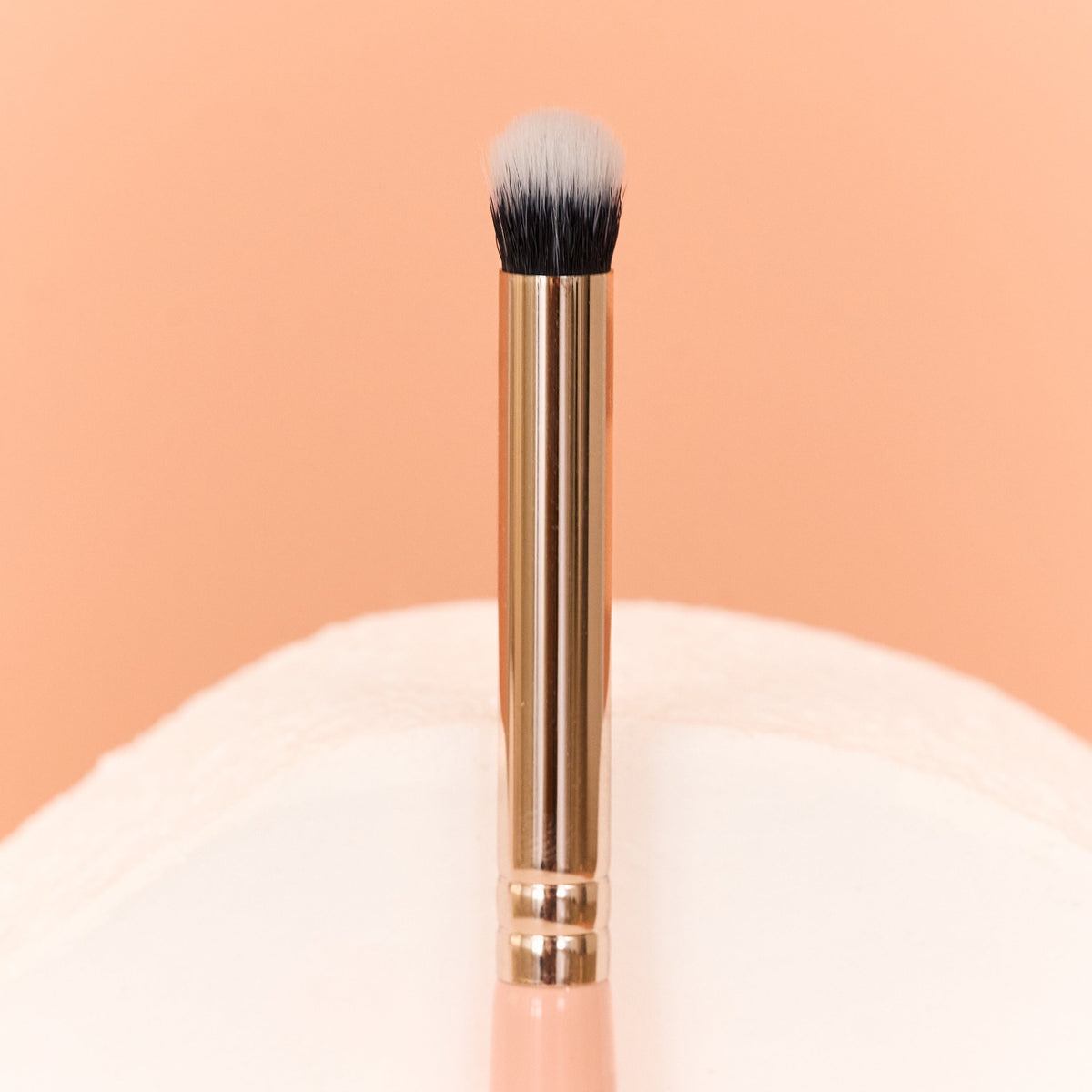 Bella Beauty Pro - Brow Buffer Brush #B6